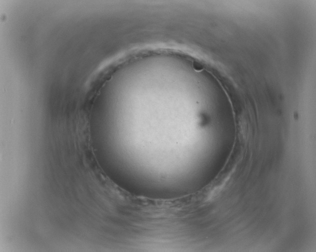 X0000065971494200603172037