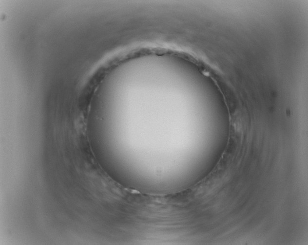 X0000065971495200603172037