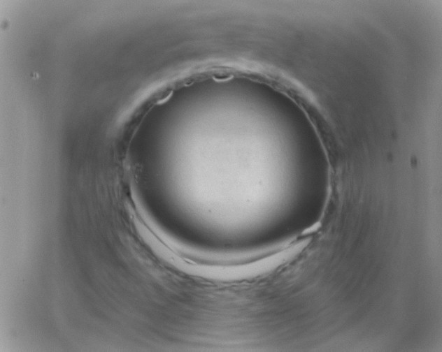 X0000065971496200603172037