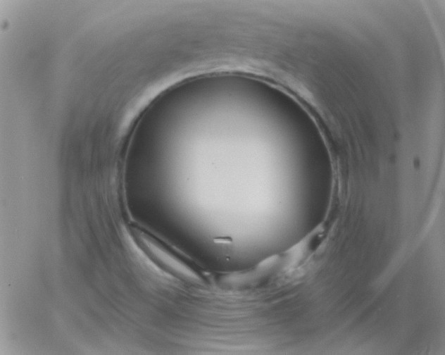 X0000065971500200603172037