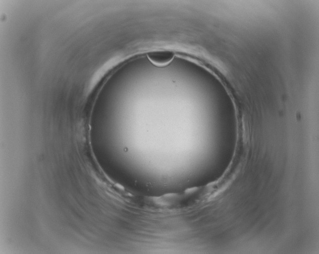 X0000065971501200603172037