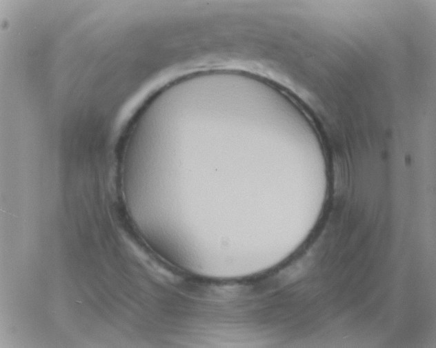 X0000065971502200603172037