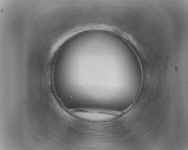 X0000065971504200603172037