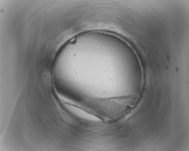 X0000065971505200603172037