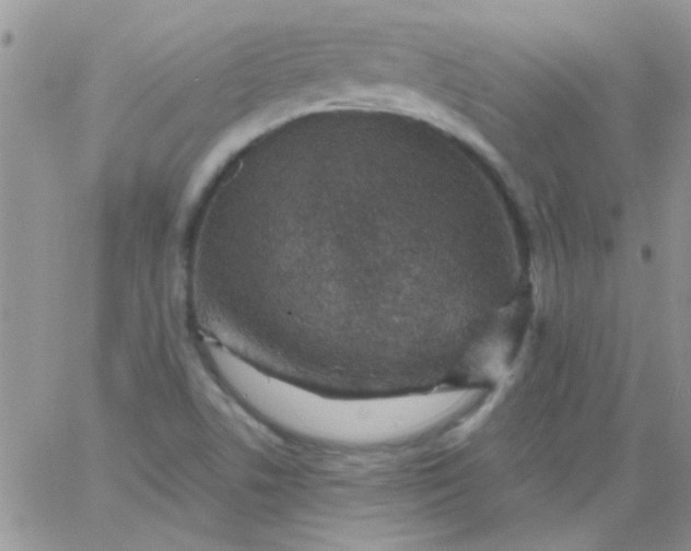 X0000065971506200603172037