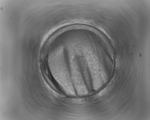 X0000065971508200603172037