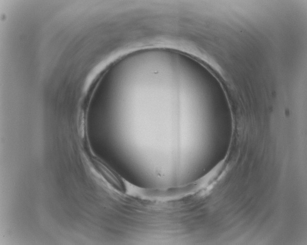 X0000065971510200603172037