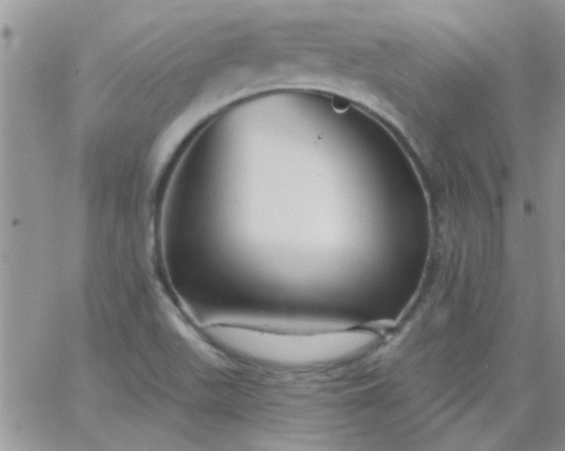 X0000065971511200603172037