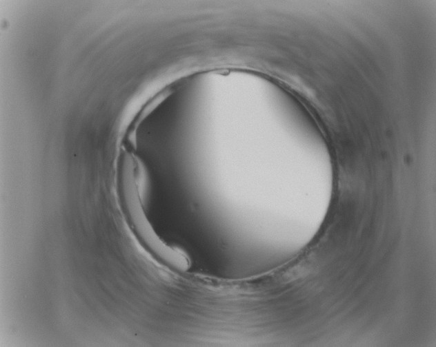 X0000065971512200603172037