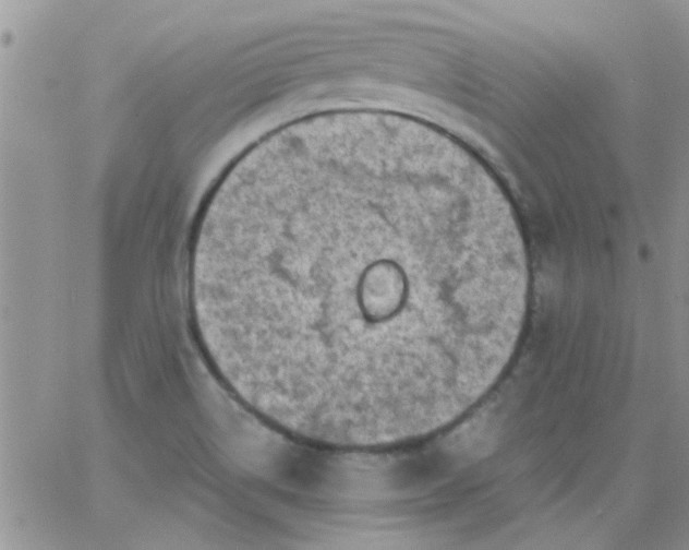 X0000065971514200603172037