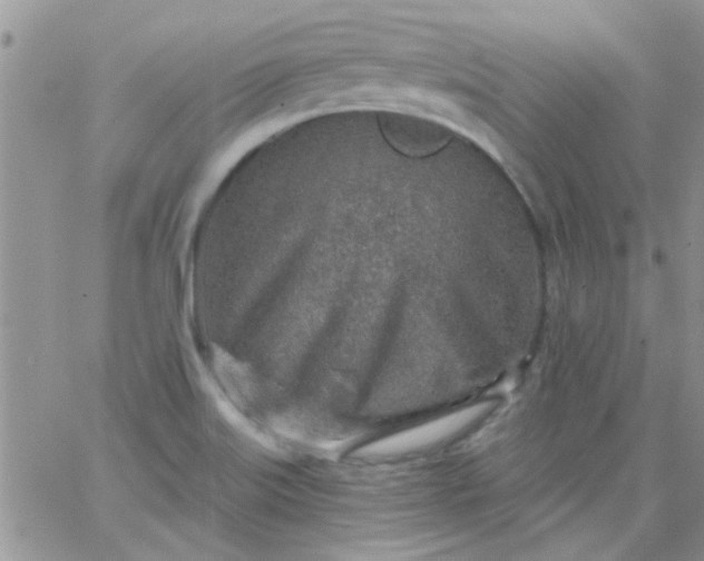 X0000065971515200603172037