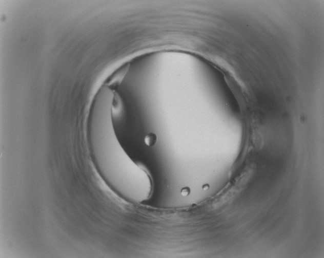 X0000065971516200603172037