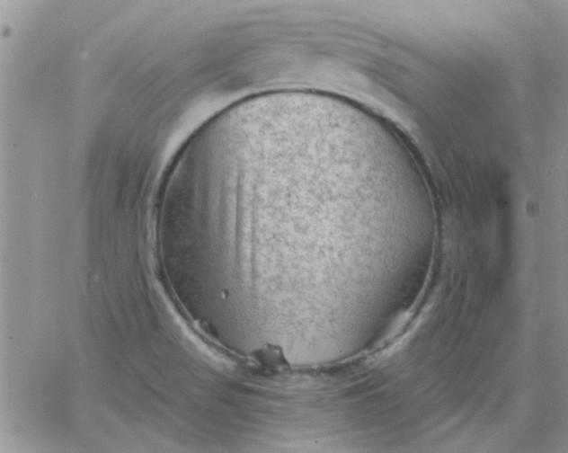 X0000065971517200603172037