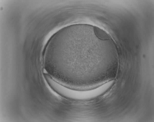 X0000065971519200603172037