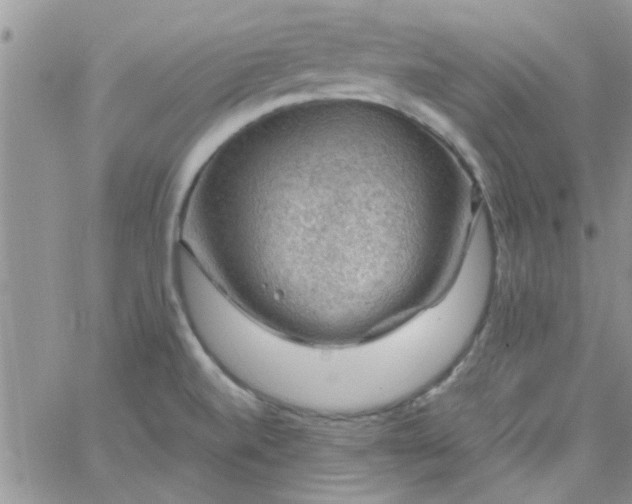 X0000065971520200603172037