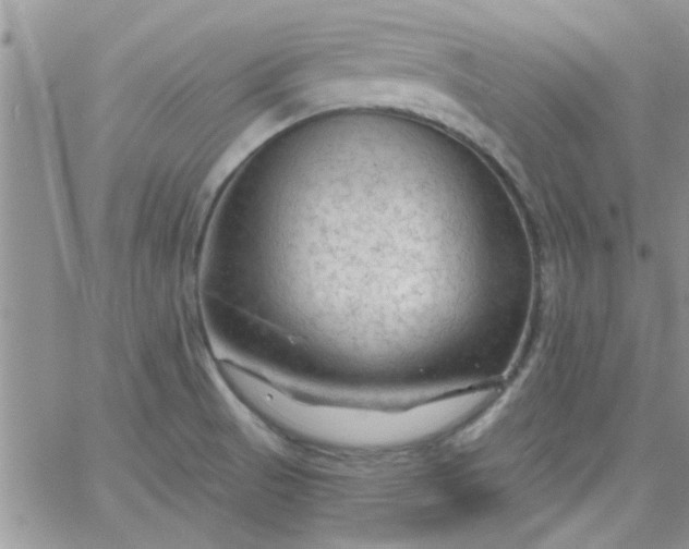 X0000065971521200603172037