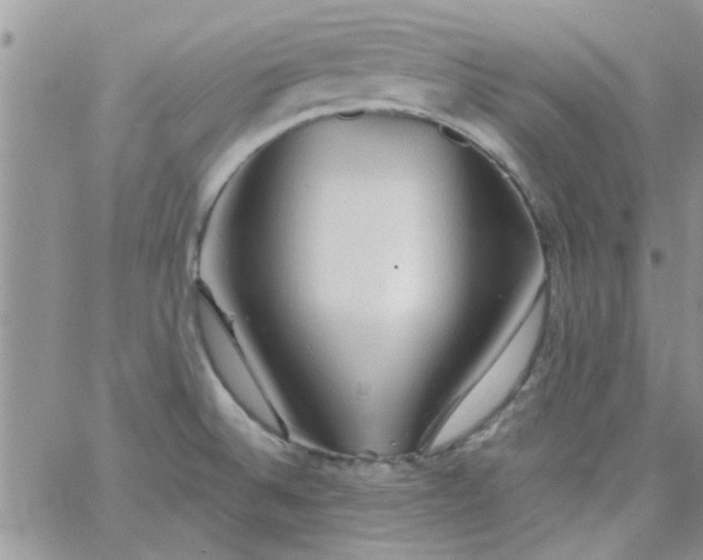 X0000065971524200603172037