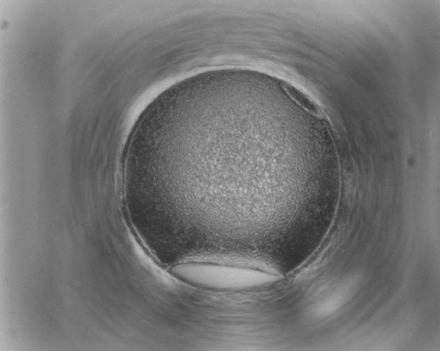 X0000065971527200603172037