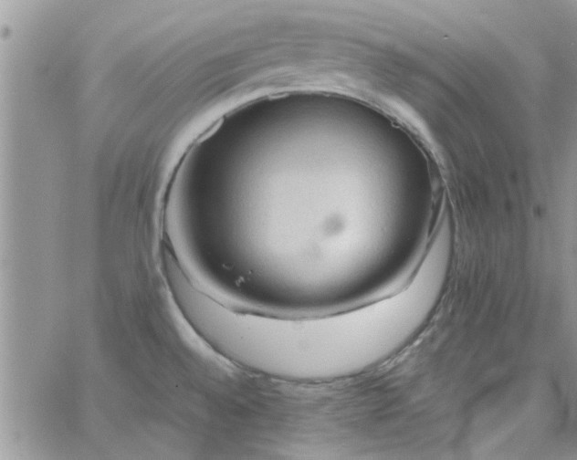 X0000065971528200603172037