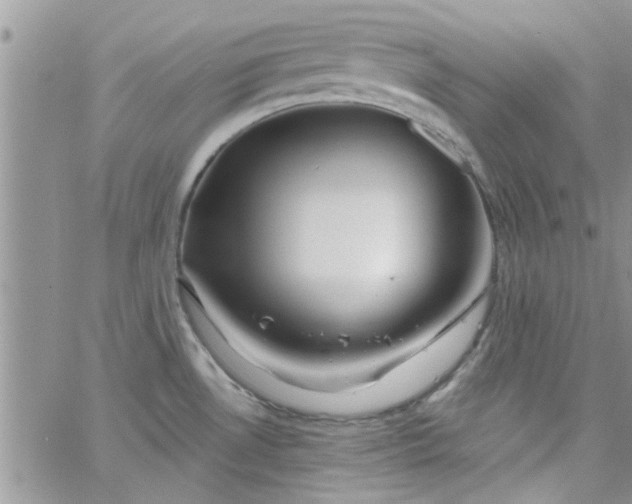 X0000065971530200603172037