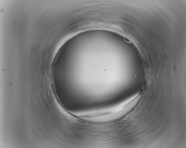 X0000065971531200603172037