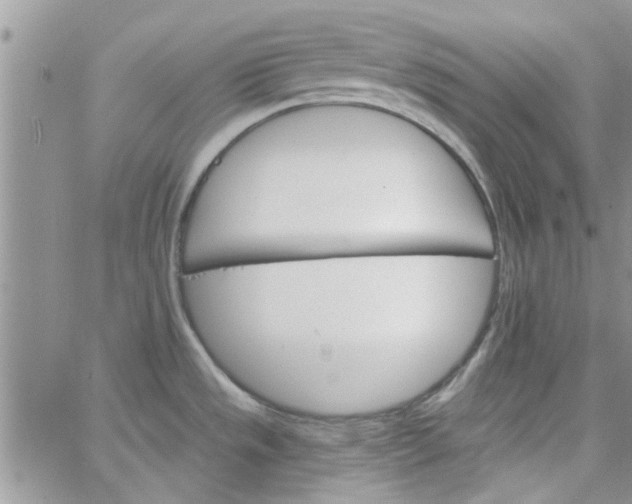 X0000065971533200603172037