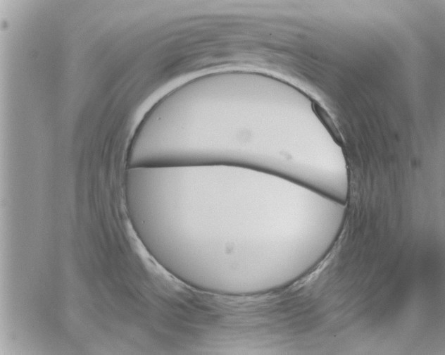 X0000065971534200603172037