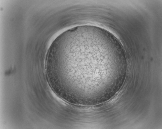 X0000065971535200603172037