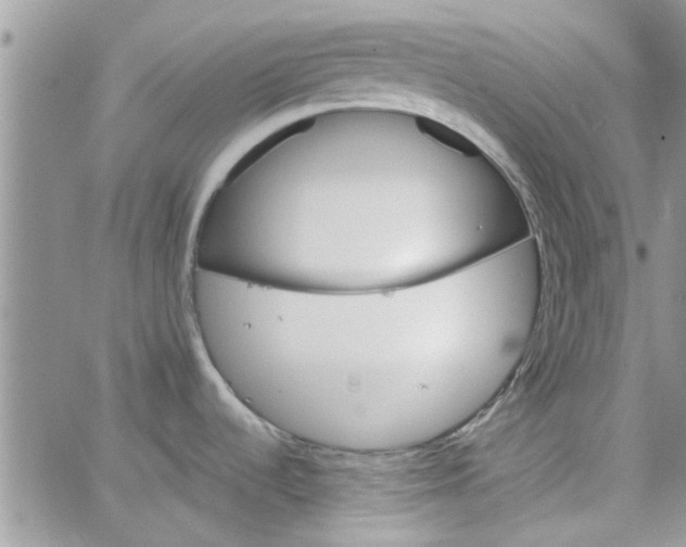 X0000065971536200603172037