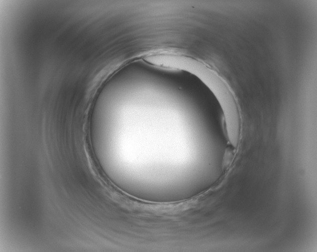 X0000065970001200603241925