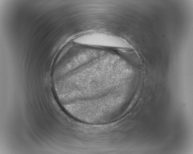 X0000065970002200603241925