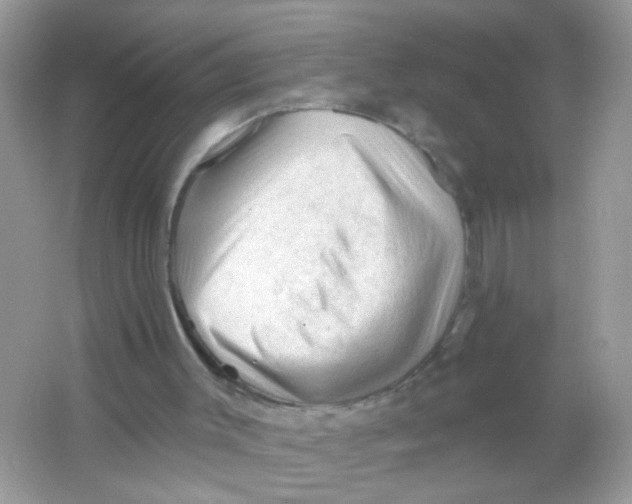 X0000065970003200603241925