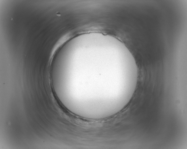 X0000065970004200603241925