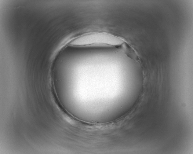 X0000065970005200603241925