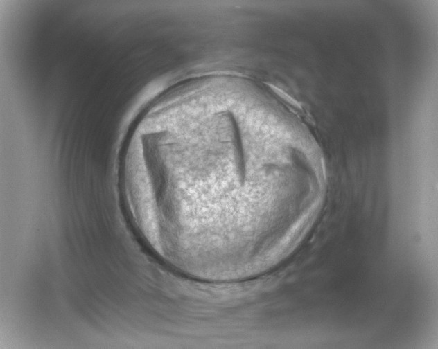 X0000065970006200603241925