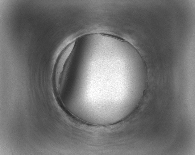 X0000065970007200603241925