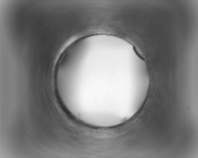 X0000065970008200603241925