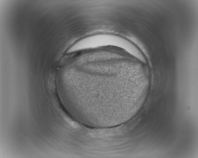 X0000065970009200603241925