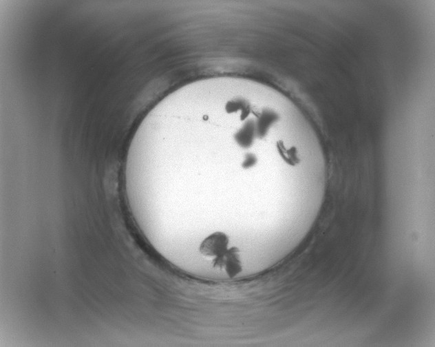 X0000065970010200603241925