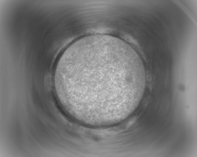 X0000065970012200603241925