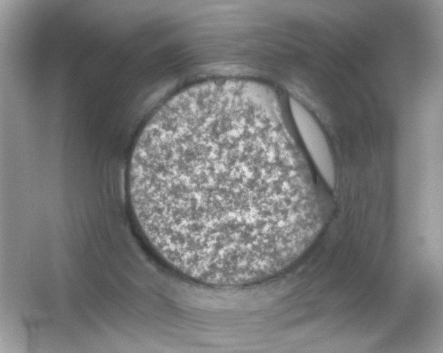 X0000065970014200603241925