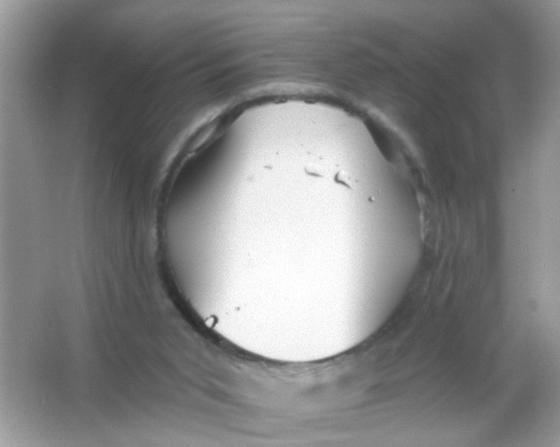 X0000065970015200603241925