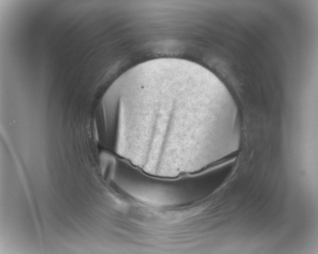 X0000065970017200603241925