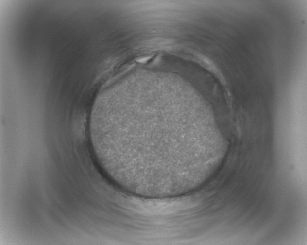 X0000065970018200603241925