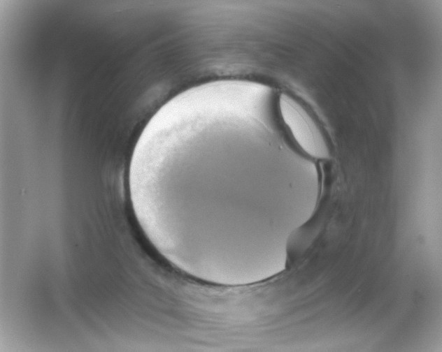 X0000065970019200603241925