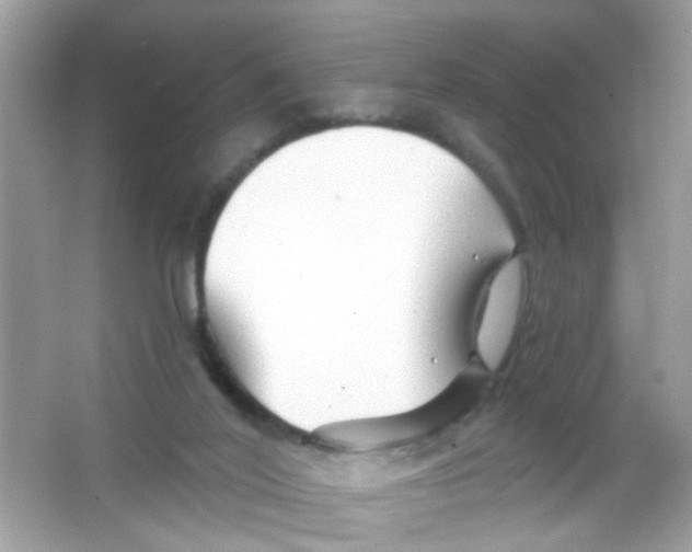 X0000065970020200603241925