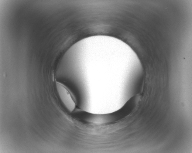 X0000065970021200603241925