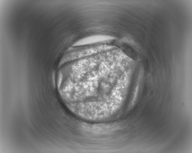 X0000065970022200603241925