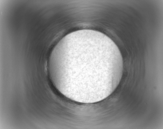 X0000065970024200603241925