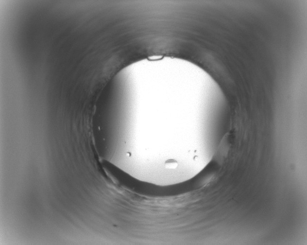 X0000065970025200603241925